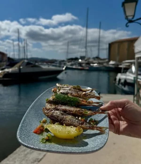 Sardines de Méditerranée